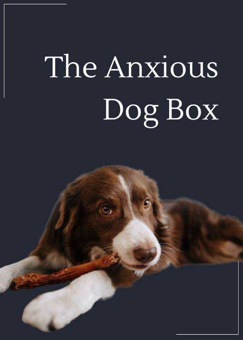 The Anxious Dog Box