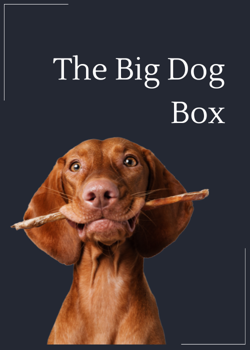 The Big Dog Box
