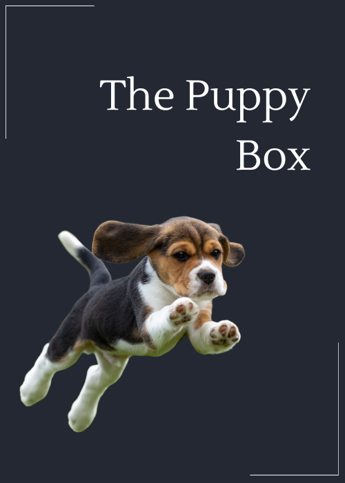 The Puppy Box