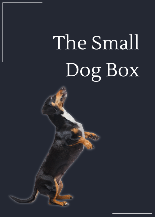 The Small Dog Box